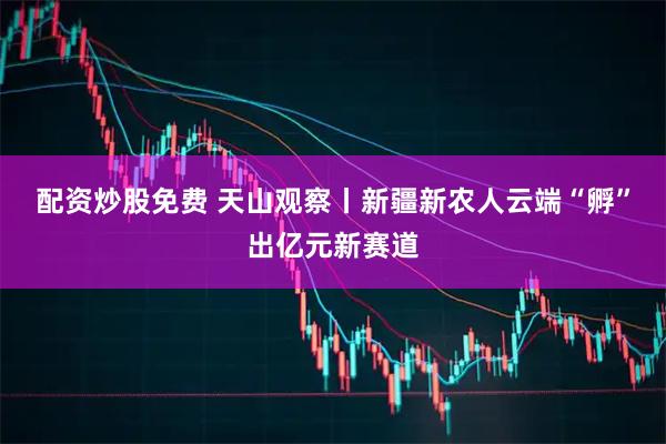 配资炒股免费 天山观察丨新疆新农人云端“孵”出亿元新赛道