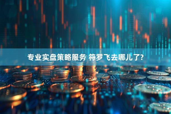 专业实盘策略服务 符罗飞去哪儿了?